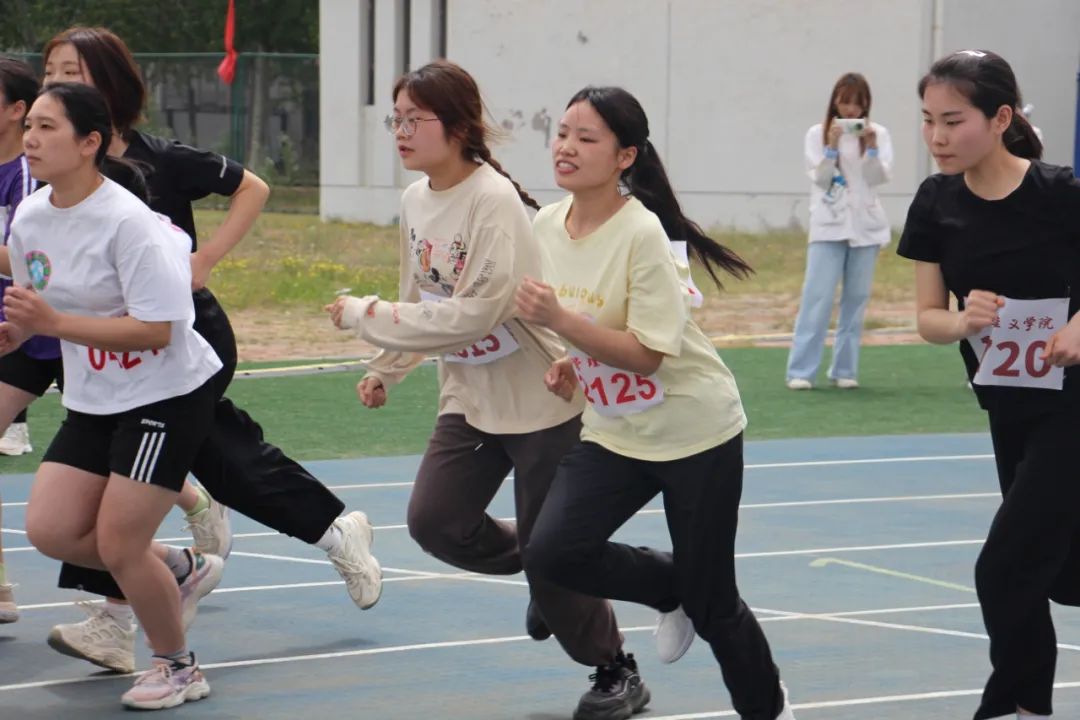 IMG_269 IMG_269